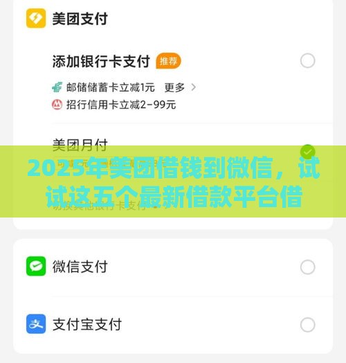 2025年美团借钱到微信，试试这五个最新借款平台借钱快
