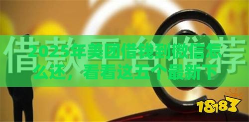 2025年美团借钱到微信怎么还，看看这五个最新下款快的贷款平台