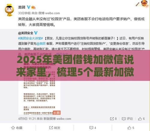 2025年美团借钱加微信说来家里，梳理5个最新加微信审核必下的网贷平台