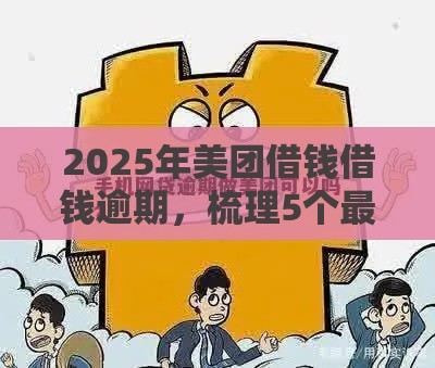 2025年美团借钱借钱逾期，梳理5个最新手机号贷款平台