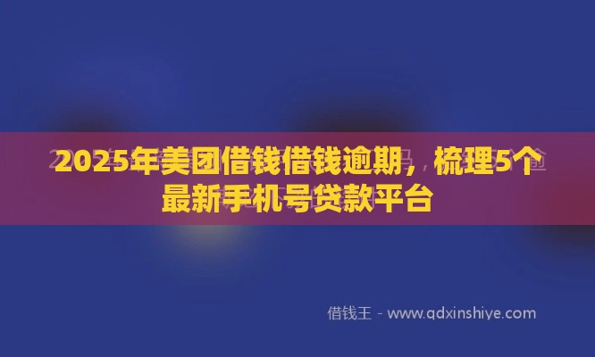 2025年美团借钱借钱逾期，梳理5个最新手机号贷款平台