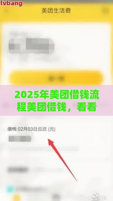 2025年美团借钱流程美团借钱，看看这5个最新如何投诉贷款平台