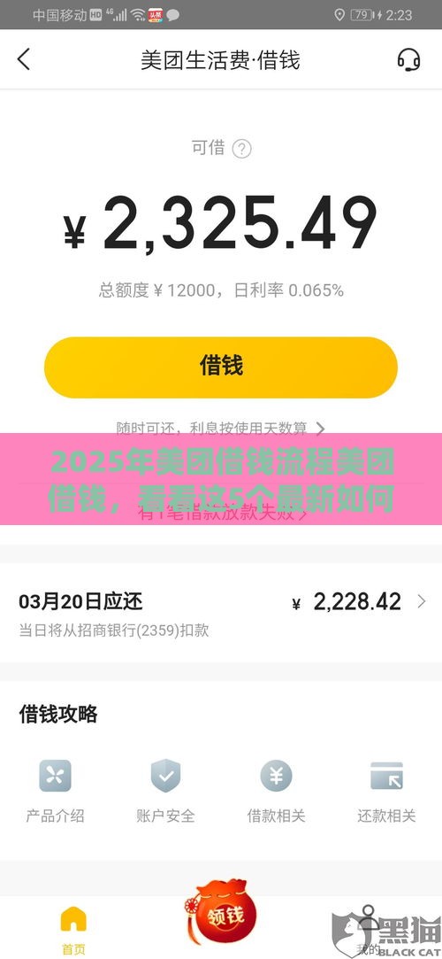 2025年美团借钱流程美团借钱，看看这5个最新如何投诉贷款平台