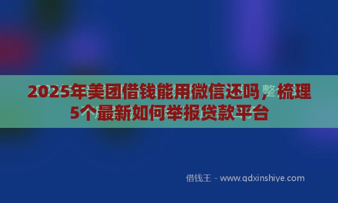 2025年美团借钱能用微信还吗，梳理5个最新如何举报贷款平台