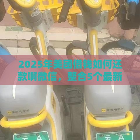 2025年美团借钱如何还款啊微信，整合5个最新网贷口子交流论坛