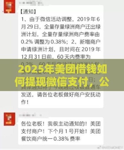 2025年美团借钱如何提现微信支付，公布五个最新黑户下款口子
