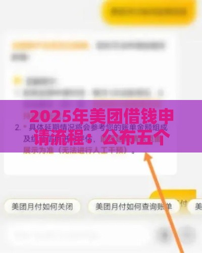 2025年美团借钱申请流程：公布五个2025热门黑名单也能贷款的平台