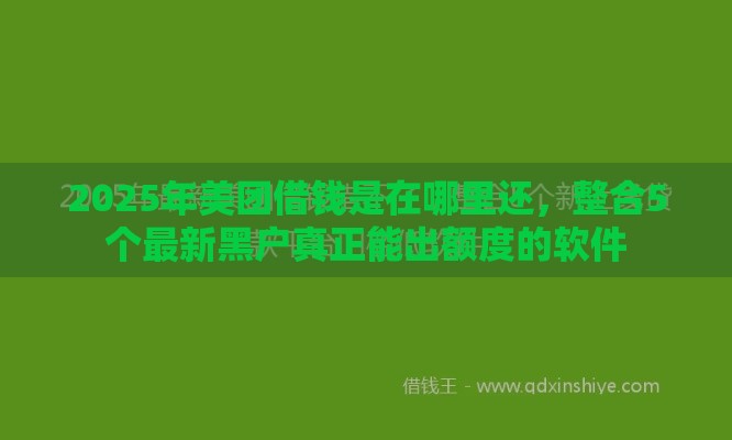2025年美团借钱是在哪里还，整合5个最新黑户真正能出额度的软件