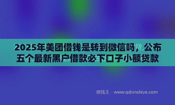 2025年美团借钱是转到微信吗，公布五个最新黑户借款必下口子小额贷款