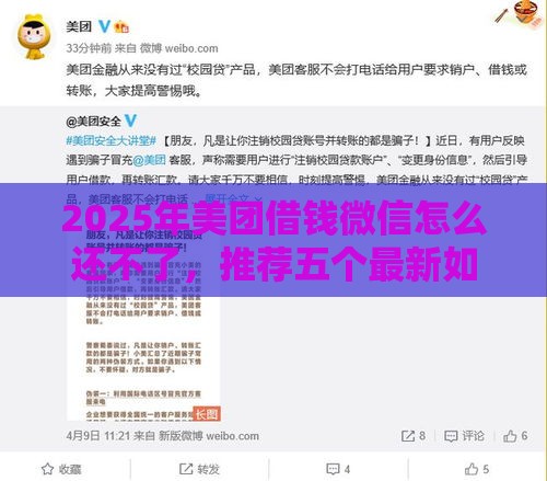 2025年美团借钱微信怎么还不了，推荐五个最新如何举报网贷平台