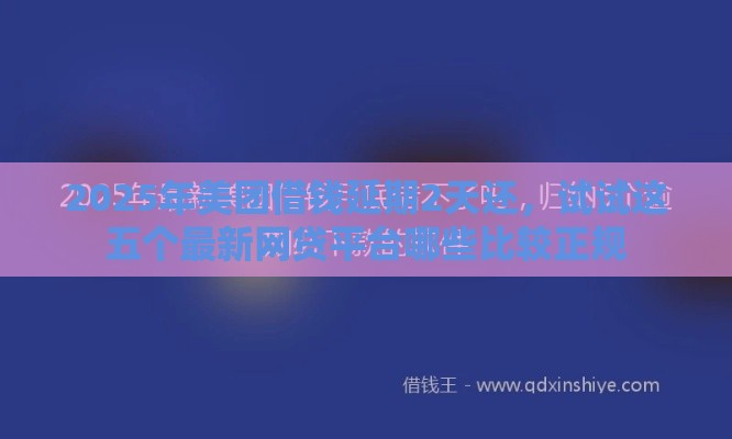2025年美团借钱延期2天还，试试这五个最新网贷平台哪些比较正规