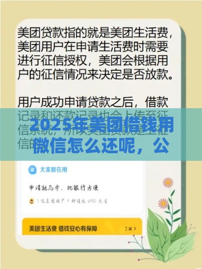 2025年美团借钱用微信怎么还呢，公布五个最新征信花了能借500到1000的口子