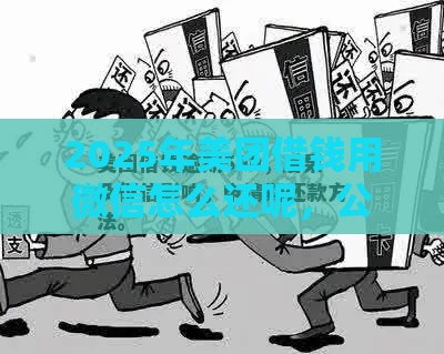 2025年美团借钱用微信怎么还呢，公布五个最新征信花了能借500到1000的口子