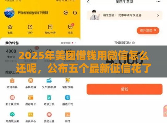 2025年美团借钱用微信怎么还呢，公布五个最新征信花了能借500到1000的口子