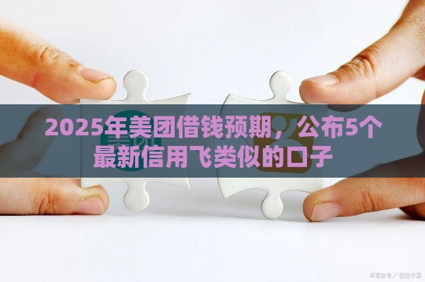 2025年美团借钱预期，公布5个最新信用飞类似的口子