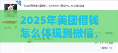 2025年美团借钱怎么体现到微信，分享五个最新网贷平台都很好借钱