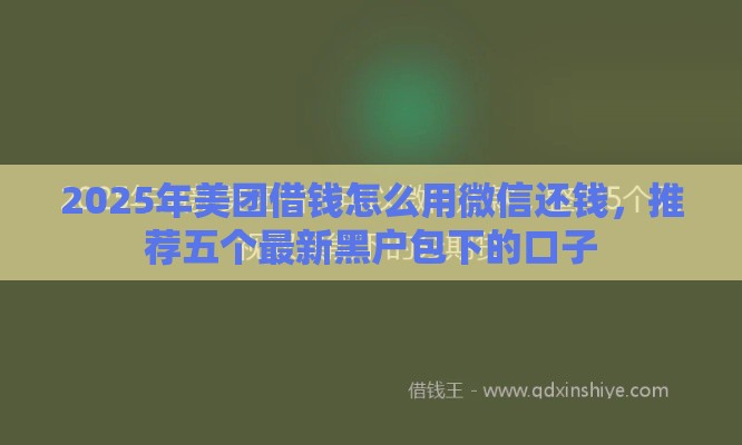 2025年美团借钱怎么用微信还钱，推荐五个最新黑户包下的口子