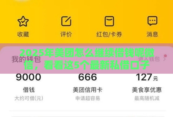 2025年美团怎么继续借钱呢微信，看看这5个最新私借口子