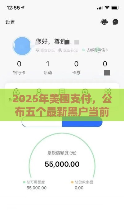 2025年美团支付，公布五个最新黑户当前逾期严重负债高综合评分不足能下款的平台