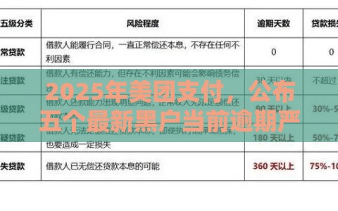 2025年美团支付，公布五个最新黑户当前逾期严重负债高综合评分不足能下款的平台