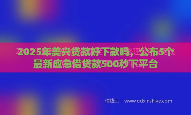 2025年美兴贷款好下款吗，公布5个最新应急借贷款500秒下平台