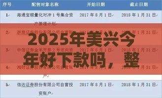 2025年美兴今年好下款吗，整理5个最新黑户网贷黑名单需要2万能借款平台
