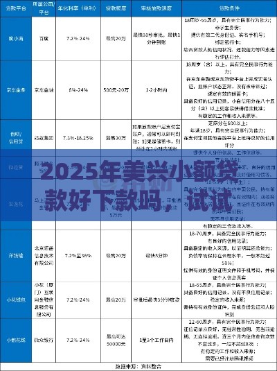 2025年美兴小额贷款好下款吗，试试这五个最新学生可以贷款的平台