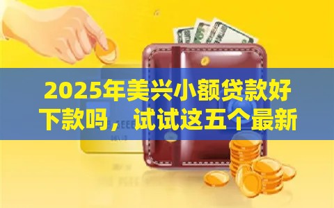 2025年美兴小额贷款好下款吗，试试这五个最新学生可以贷款的平台