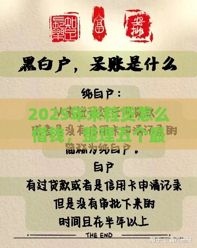 2025年米粒贷怎么借钱，整理五个最新黑户呆账下款口子