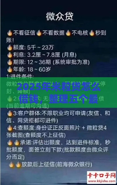 2025年米粒贷怎么借钱，整理五个最新黑户呆账下款口子