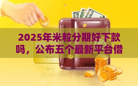 2025年米粒分期好下款吗，公布五个最新平台借钱正规