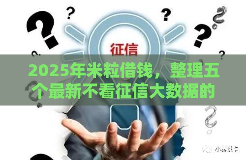 2025年米粒借钱，整理五个最新不看征信大数据的贷款平台一定能下款