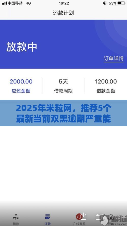 2025年米粒网，推荐5个最新当前双黑逾期严重能下款的平台