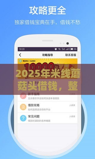 2025年米线蘑菇头借钱，整合5个最新贷款正规平台