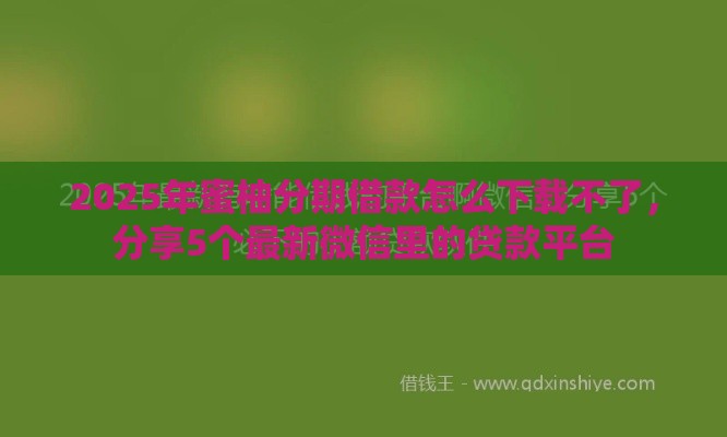 2025年蜜柚分期借款怎么下载不了，分享5个最新微信里的贷款平台