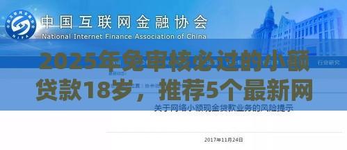 2025年免审核必过的小额贷款18岁，推荐5个最新网贷平台黑名单