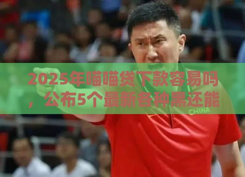 2025年喵喵贷下款容易吗，公布5个最新各种黑还能下款的口子