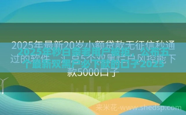 2025年秒白条老用户被拒，公布五个最新双黑户必下款的口子2025