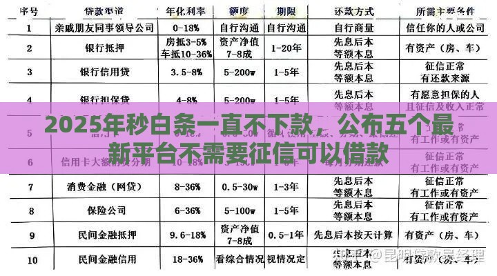 2025年秒白条一直不下款，公布五个最新平台不需要征信可以借款