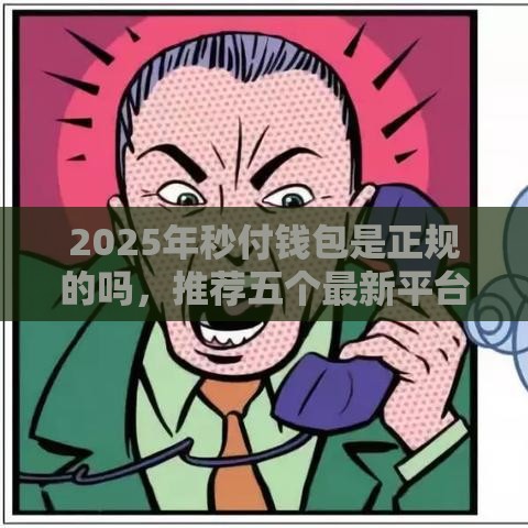 2025年秒付钱包是正规的吗，推荐五个最新平台贷款靠谱