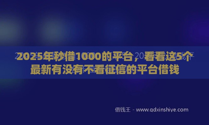 2025年秒借1000的平台，看看这5个最新有没有不看征信的平台借钱