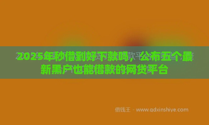 2025年秒借到好下款吗,公布五个最新黑户也能借款的网贷平台 2025年秒借到好下款吗,公布五个最新黑户也能借款的网贷平台