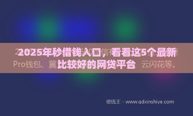 2025年秒借钱入口，看看这5个最新比较好的网贷平台