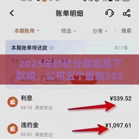 2025年秒秒分期容易下款嘛，公布五个最新2025大花户放水秒下款的口子