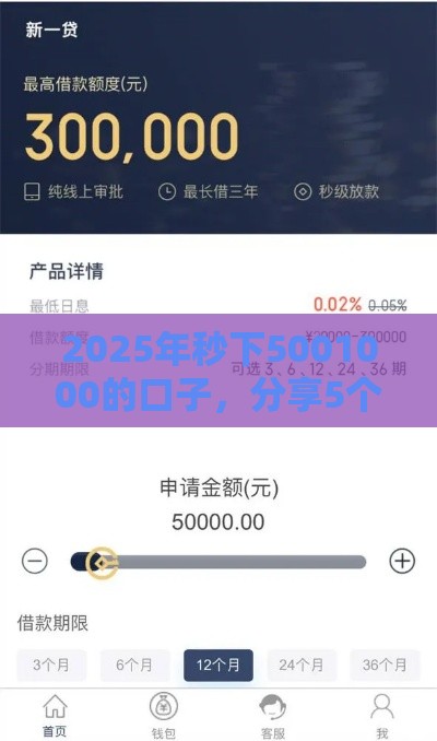 2025年秒下5001000的口子，分享5个最新网贷平台借款好审批