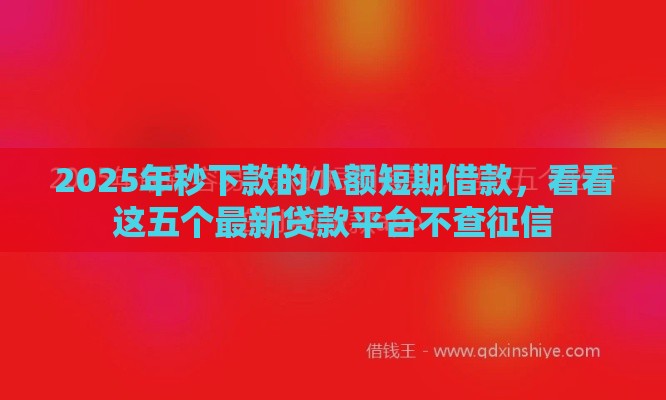 2025年秒下款的小额短期借款，看看这五个最新贷款平台不查征信