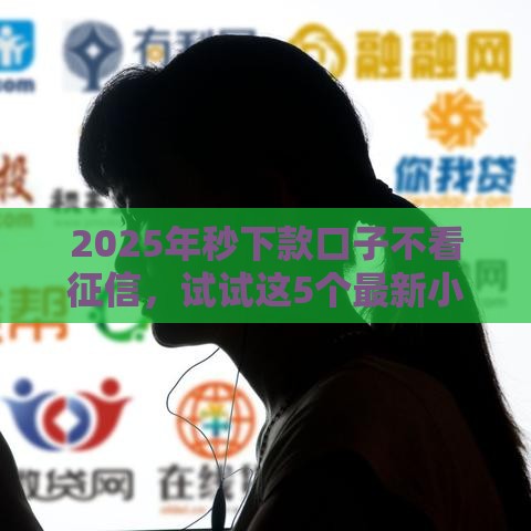 2025年秒下款口子不看征信，试试这5个最新小贷款平台