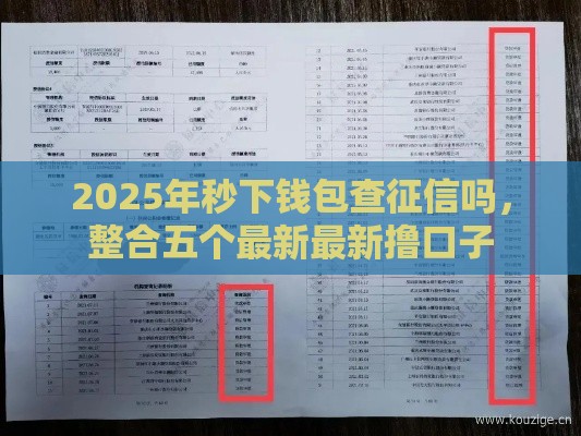 2025年秒下钱包查征信吗，整合五个最新最新撸口子