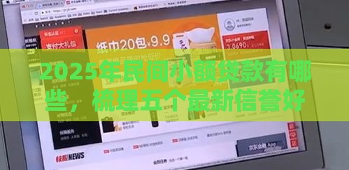 2025年民间小额贷款有哪些，梳理五个最新信誉好的网贷平台
