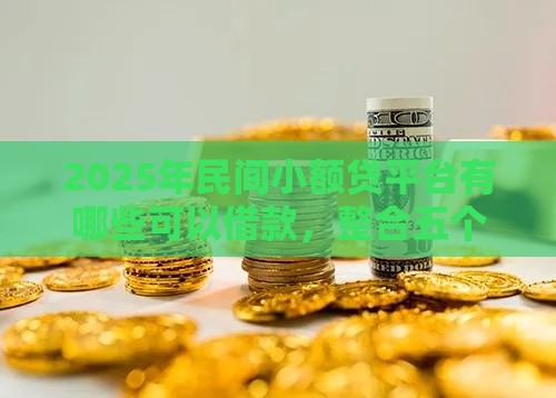 2025年民间小额贷平台有哪些可以借款，整合五个最新14天下款的口子